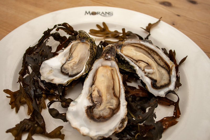 Fresh Gigas Galway Bay oysters from Morans the Weir.
Food photography by Fitzpatrick Creative, Galway, Food photography Galway